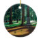 DISC GOLF