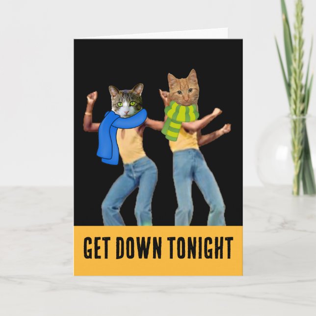 DISCO CAT CATS BIRTHDAY FUNNY GREETING CARD (Front)