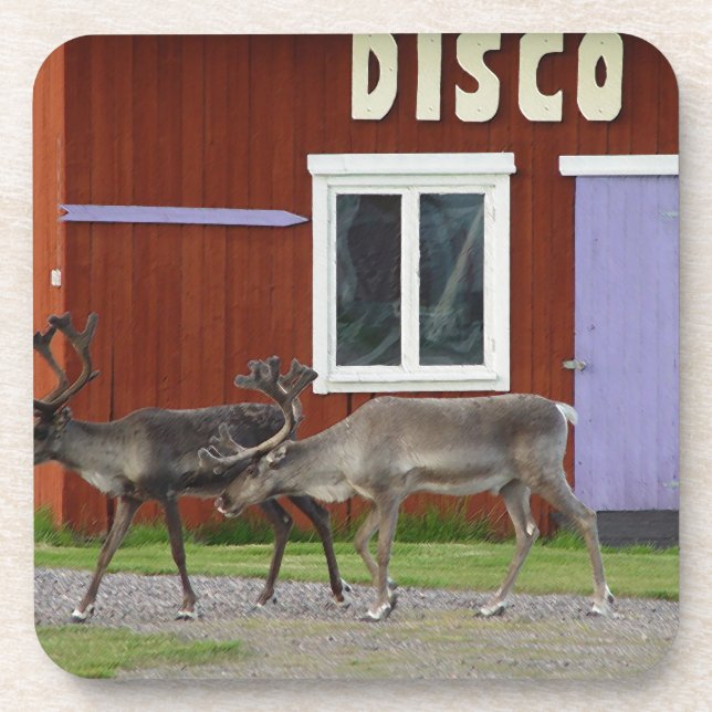 DISCO DEER COASTER (Front)