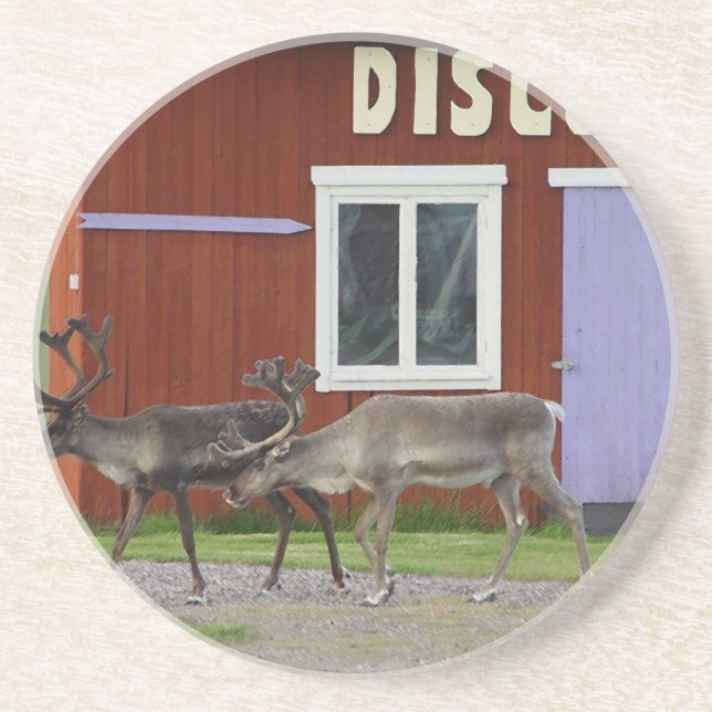 DISCO DEER COASTER (Front)