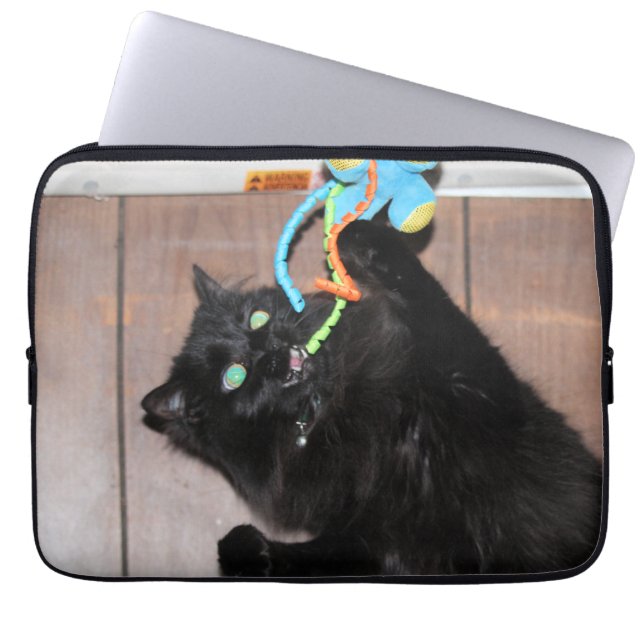 Disco   laptop sleeve (Front)