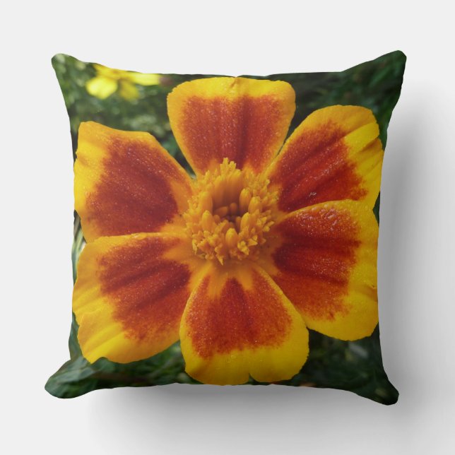 Disco Marigold Orange and Red Summer Flower Cushion (Front)