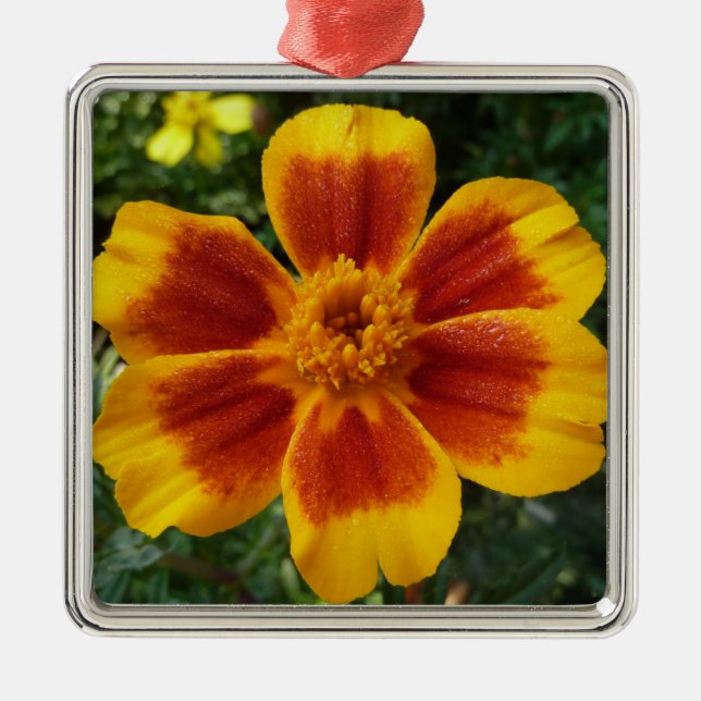 Disco Marigold Orange and Red Summer Flower Metal Tree Decoration (Front)