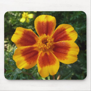 Disco Marigold Orange and Red Summer Flower Mouse Mat