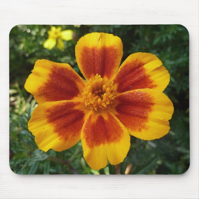 Disco Marigold Orange and Red Summer Flower Mouse Mat (Front)
