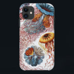 Discomedusae by Ernst Haeckel iPhone 11 Case<br><div class="desc">Please visit my store for more interesting design and more colour choice. =>     zazzle.com/colorfulworld*</div>