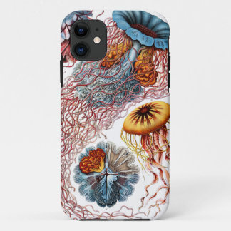 Discomedusae by Ernst Haeckel iPhone 11 Case