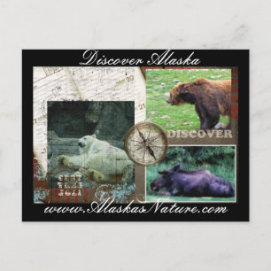 Discover Alaska Postcard