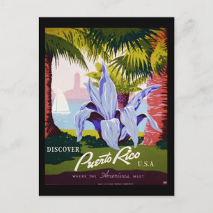 Discover Puerto Rico U.S.A. Postcard