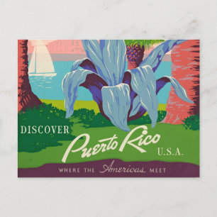 Discover Puerto Rico Vintage Travel Art Postcard