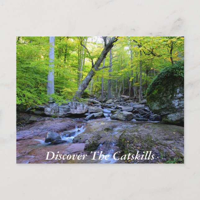 Discover the Catskills 5 Postcard (Front)