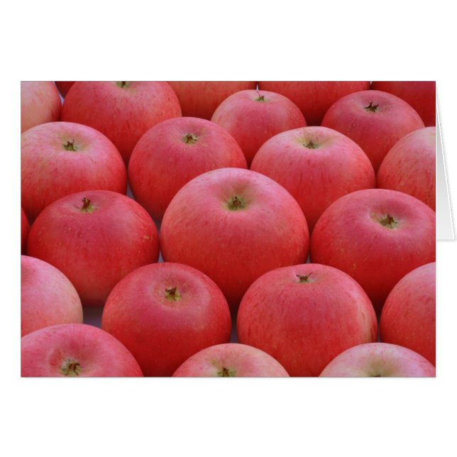 Discovery Apples (Front Horizontal)