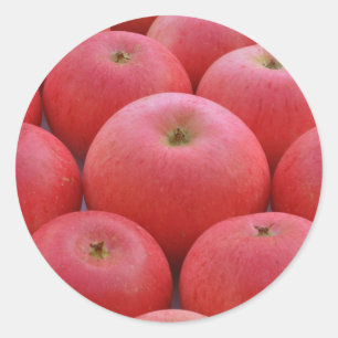 Discovery Apples Classic Round Sticker