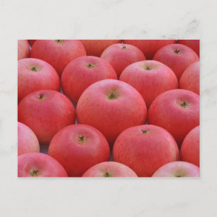 Discovery Apples Postcard
