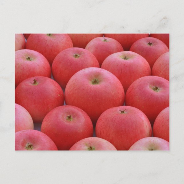 Discovery Apples Postcard (Front)