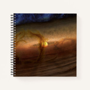 Discs Of Planet-Forming Material Circling Stars. Notebook