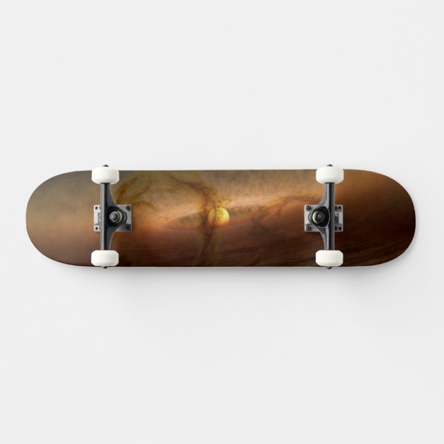 Discs Of Planet-Forming Material Circling Stars. Skateboard (Horz)