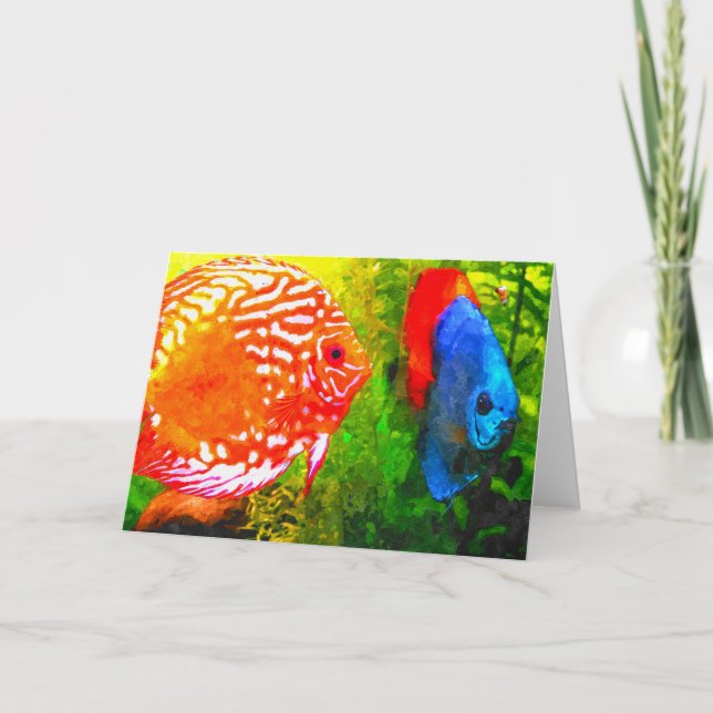 Discus aquarium fish all occasions greeting card (Front)