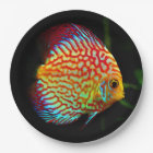 Discus aquarium fish dinner paper plate