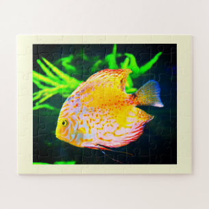 Discus fish animal jigsaw puzzle