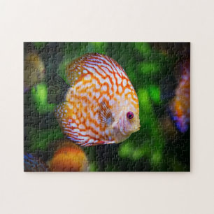 Discus fish jigsaw puzzle