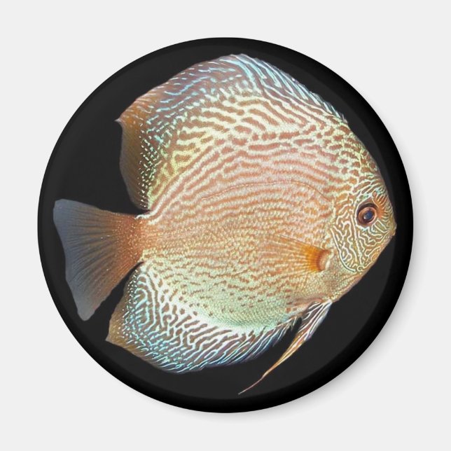 discus magnet (Front)