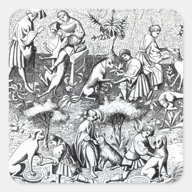 Diseases of dogs and their cure, after a miniature square sticker (Front)