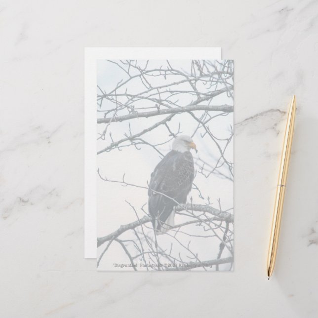 Disgruntled (Front/Back In Situ)