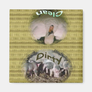 Dishwasher Magnet