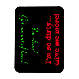 Dishwasher Magnet