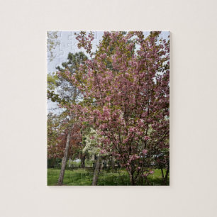 Display of Beauty and Opulence Jigsaw Puzzle