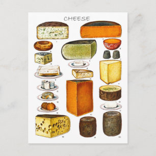 Display of Types of Cheese Postcard