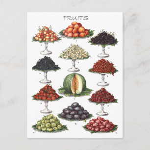 Display of Various Fruits on Platters Postcard