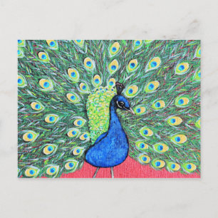 Displaying Peacock Acrylic Painting Postcard