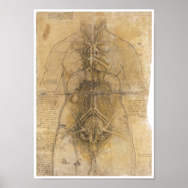 Dissection of the organs of a woman, Da Vinci Poster (Front)