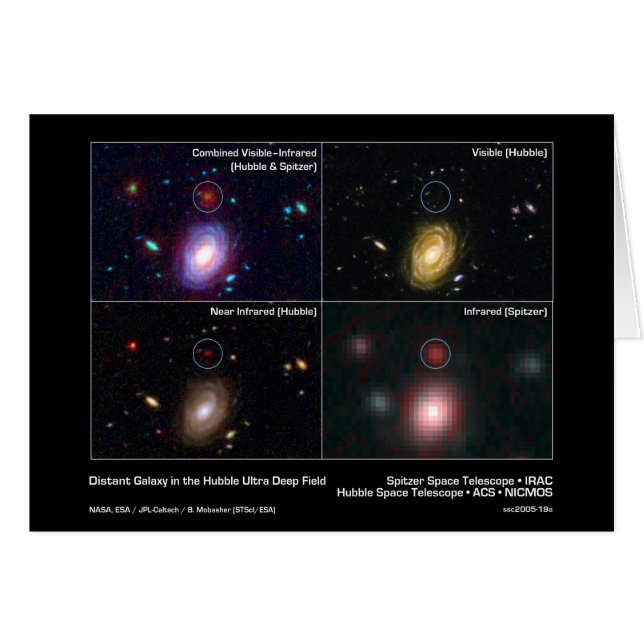 Distant Galaxy in the Hubble Ultra Deep Field – Sp (Front Horizontal)