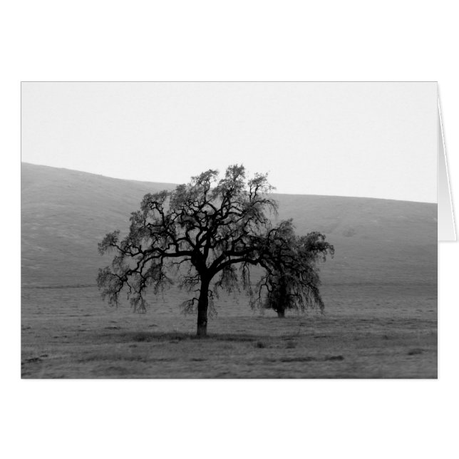 Distant Tree (Black & White) (Front Horizontal)