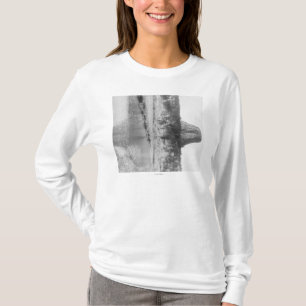 Distant View of Devil's Tower with Water in the T-Shirt