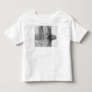 Distant View of Devil's Tower with Water in the Toddler T-Shirt
