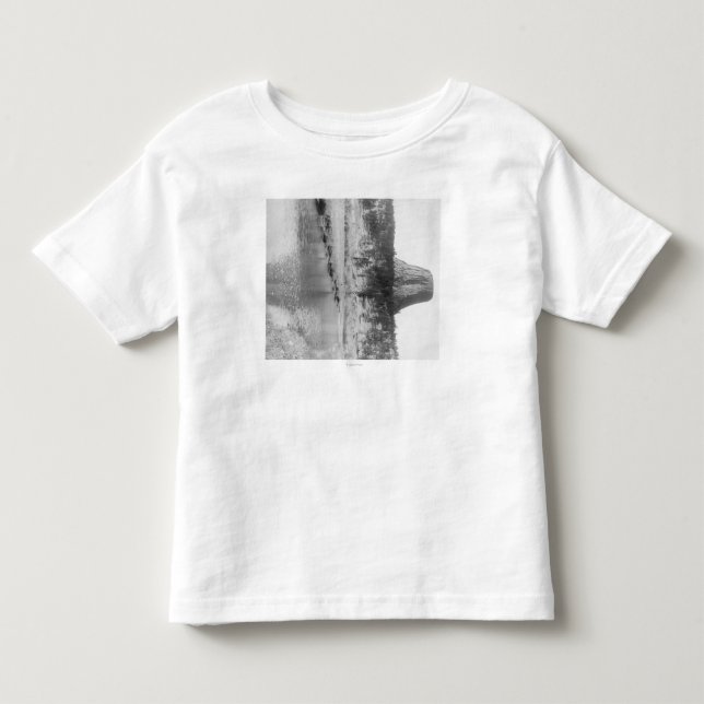 Distant View of Devil's Tower with Water in the Toddler T-Shirt (Front)