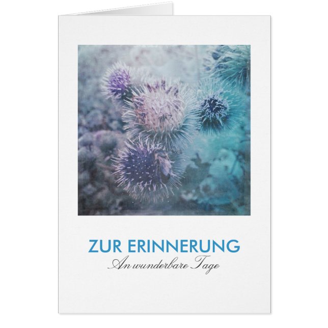 Distelblüten (Front)