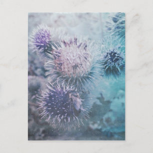 Distelblüten Postcard