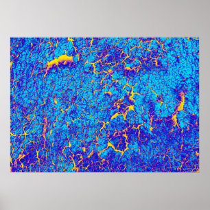 Distinctive Abstract Texture Poster
