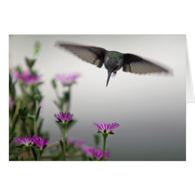 Distinctive Hummingbird Card (Front Horizontal)