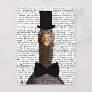 Distinguished Goose 2 Postcard