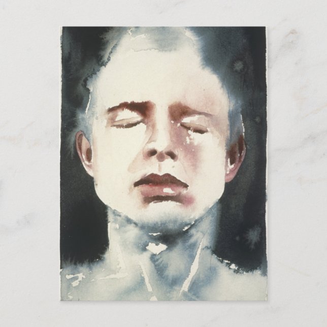 Distinguishing Marks 4 Postcard (Front)