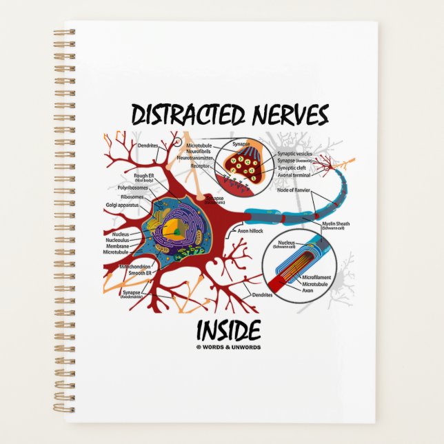 Distracted Nerves Inside Neuron Synapse Humour Planner (Front)