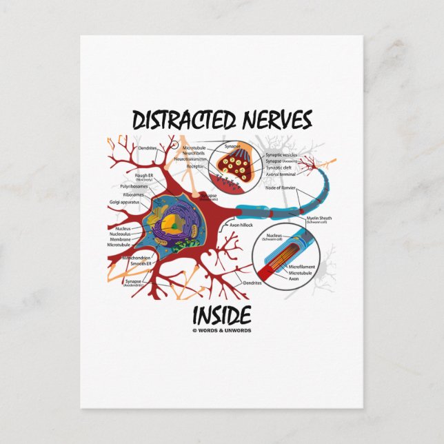 Distracted Nerves Inside (Synapse) Postcard (Front)