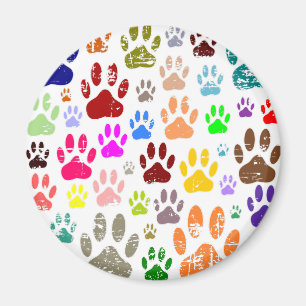 Distressed Colourful Dog Paw Prints Magnet
