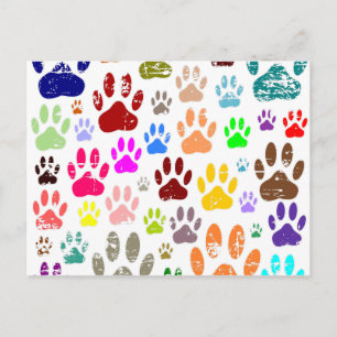 Distressed Colourful Dog Paw Prints Postcard